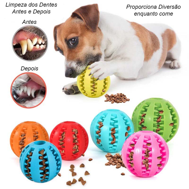 Brinquedo de Disco Deslizante Interativo para Cães, Música Iluminada, Jogos  de Bola de Futebol de Salão, Bola Rolante Ativa, Elimina o Tédio, Material